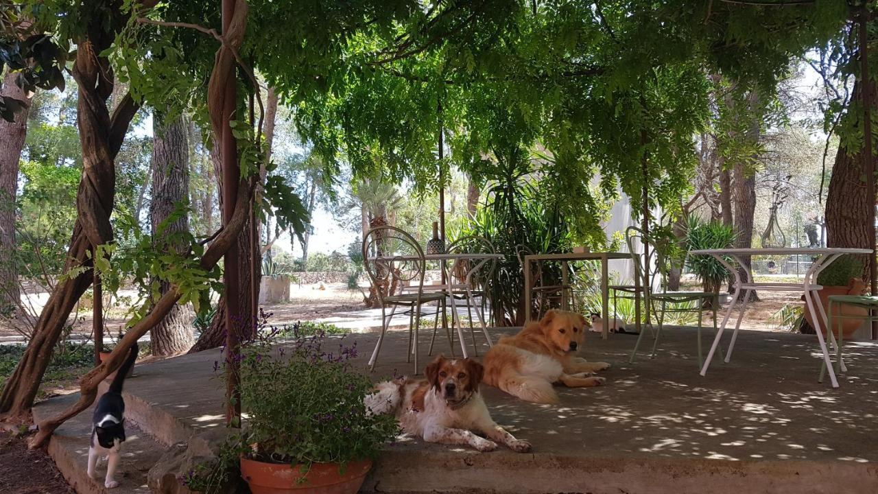 Petra - Country House モンテローニ・ディ・レッチェ エクステリア 写真