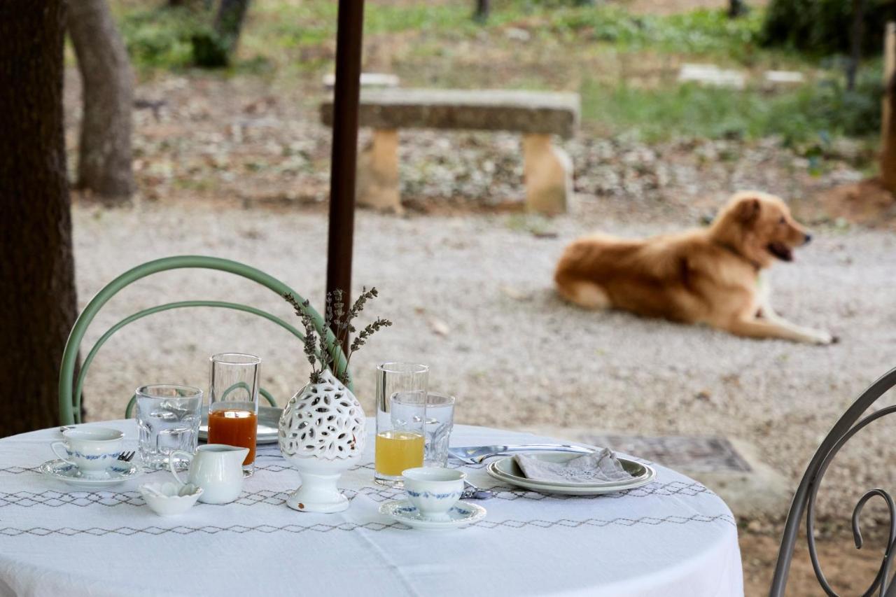 Petra - Country House モンテローニ・ディ・レッチェ エクステリア 写真